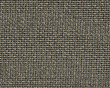 spot-07.jpg